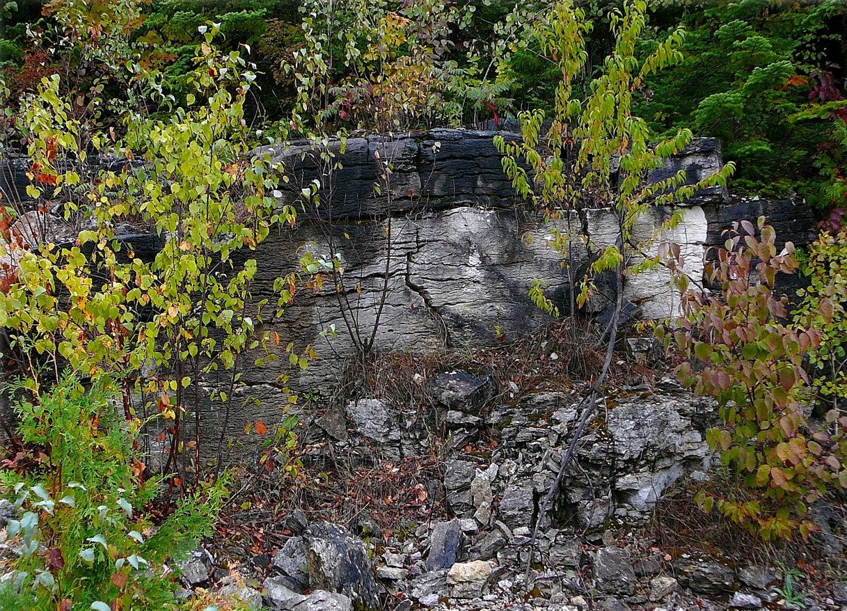 colonial quarry lower fossil hill outcrop