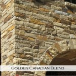 golden canadian blend